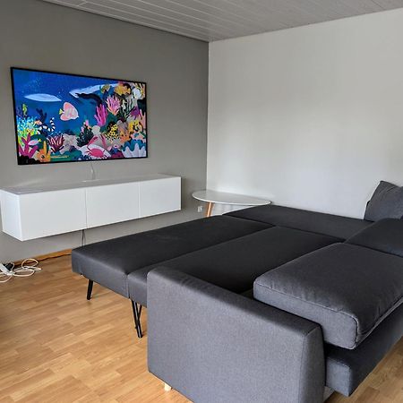 Schönes, ruhiges Apartment mit Sonnenterrasse Tettnang Exterior foto